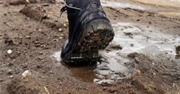 Stinkende Schuhe - Schuhgeruch enfernen